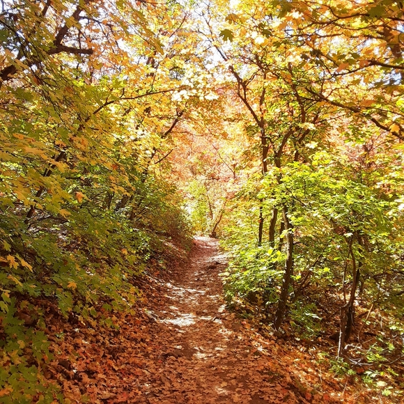 Meet your Posher, Rachel - Picture 1 of 1